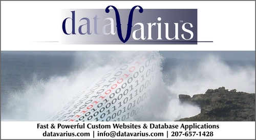 DataVarius.com: Fast & Powerful Custom Websites & Database Applications